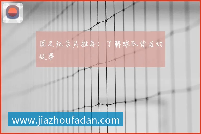未来规划